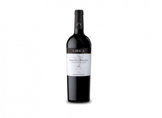 product_10883_1756710435_1