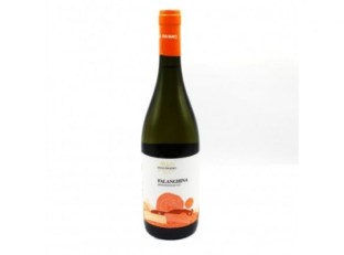 product_20106_1770195314