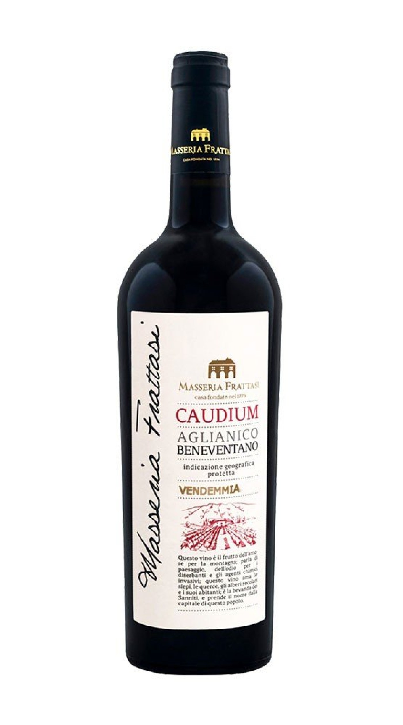 product_20950_1762263939