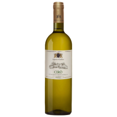 product_20997_1762277849