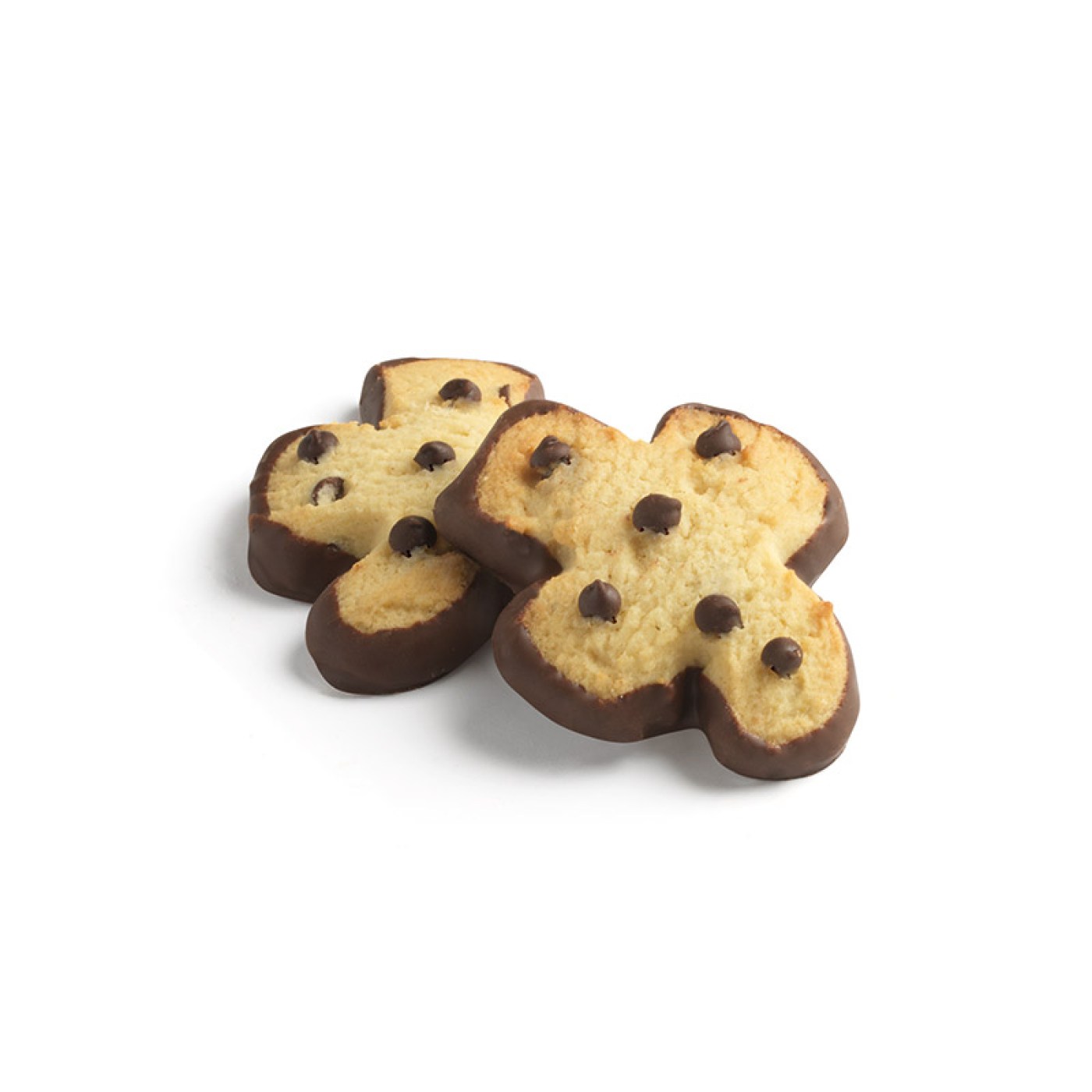 product_21317_1763975624