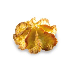 product_21330_1763991794