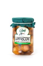 product_21447_1764084901