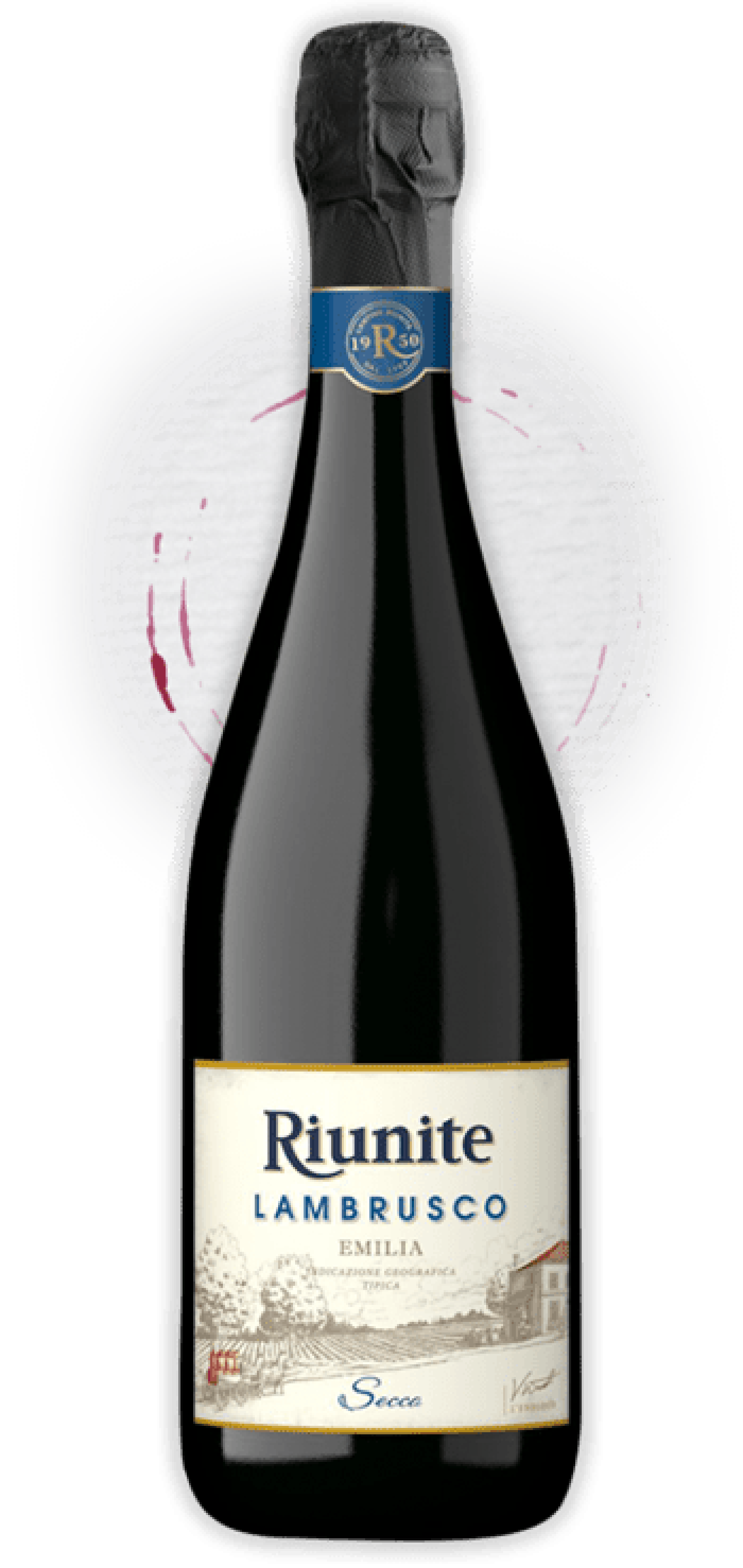 product_2449_1751791397_1