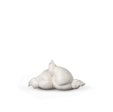 product_25557_1792501422