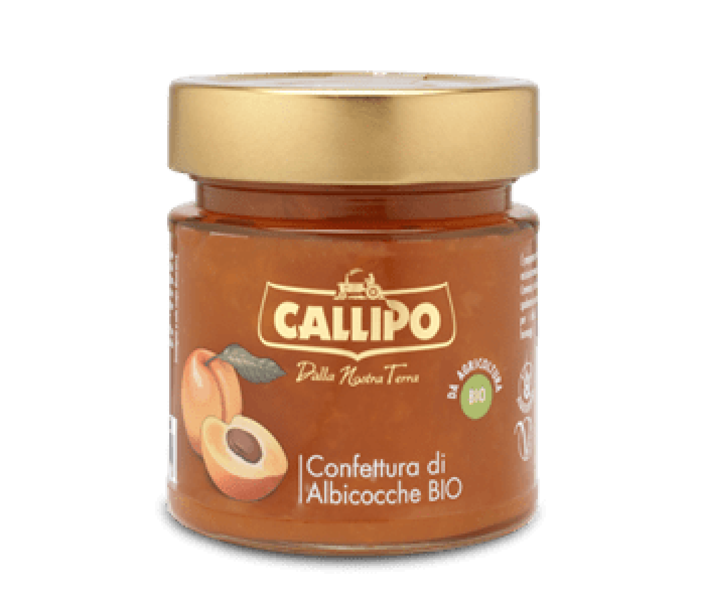 product_2907_1750328467_1