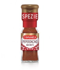 product_4007_1750160696_1