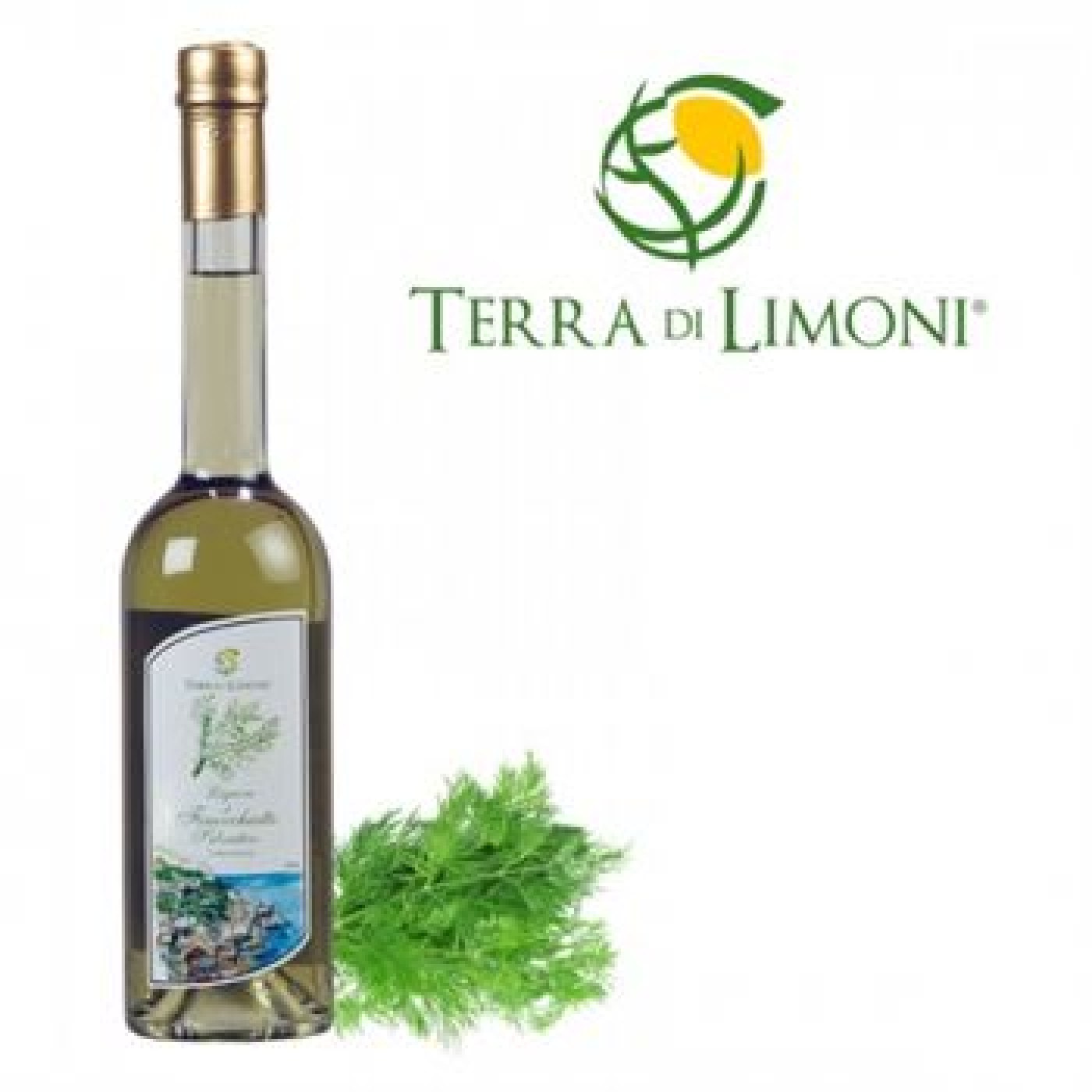 product_7365_1752513791_1