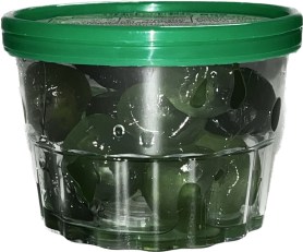 product_7462_1760359519