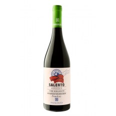 product_9354_1753088060