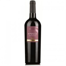 product_new_20250612_121241